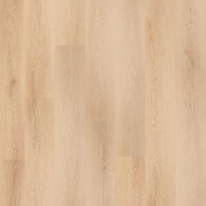 Delicate Vein (BBL-001)