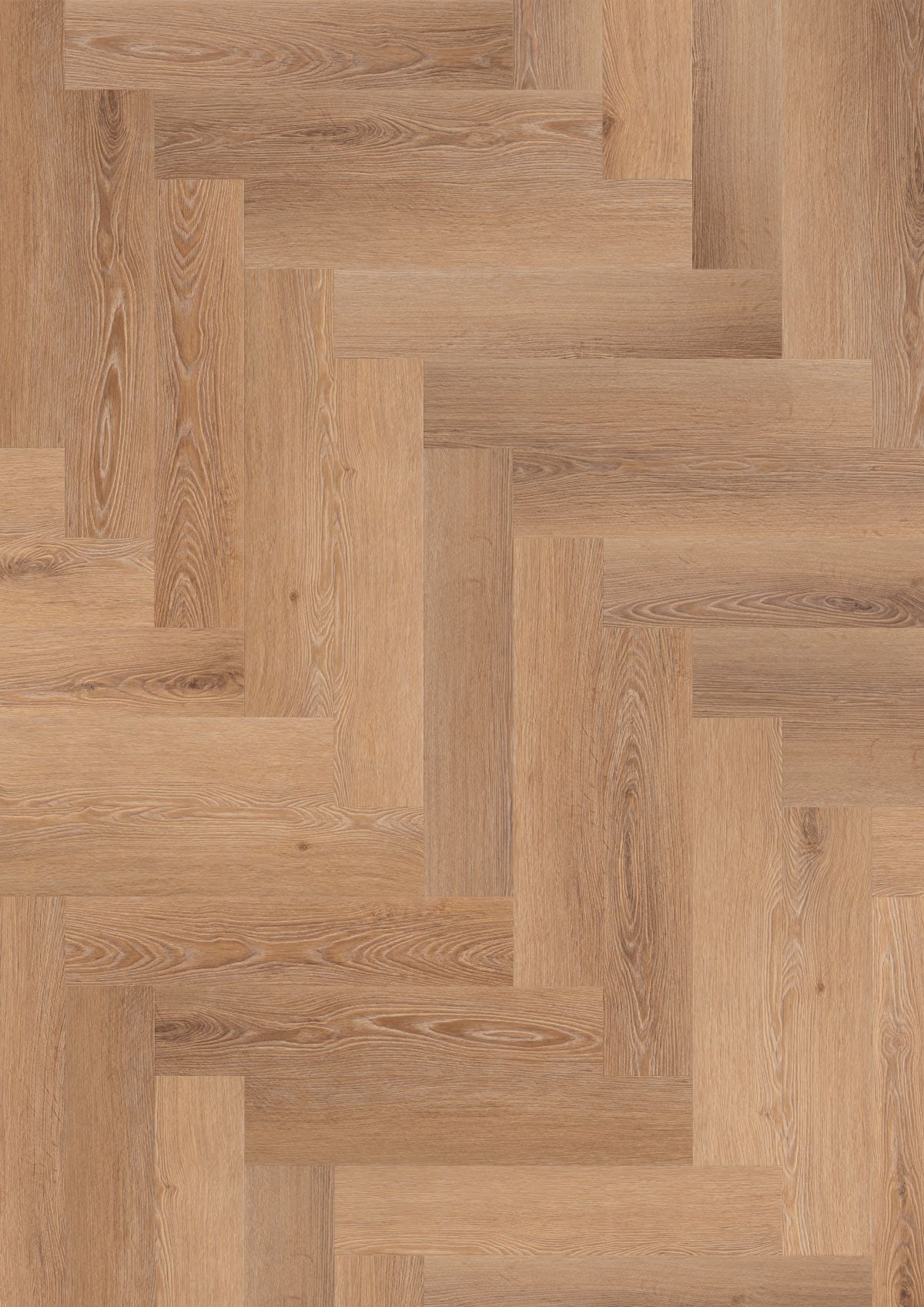 Serene Caspin (BBL-027)