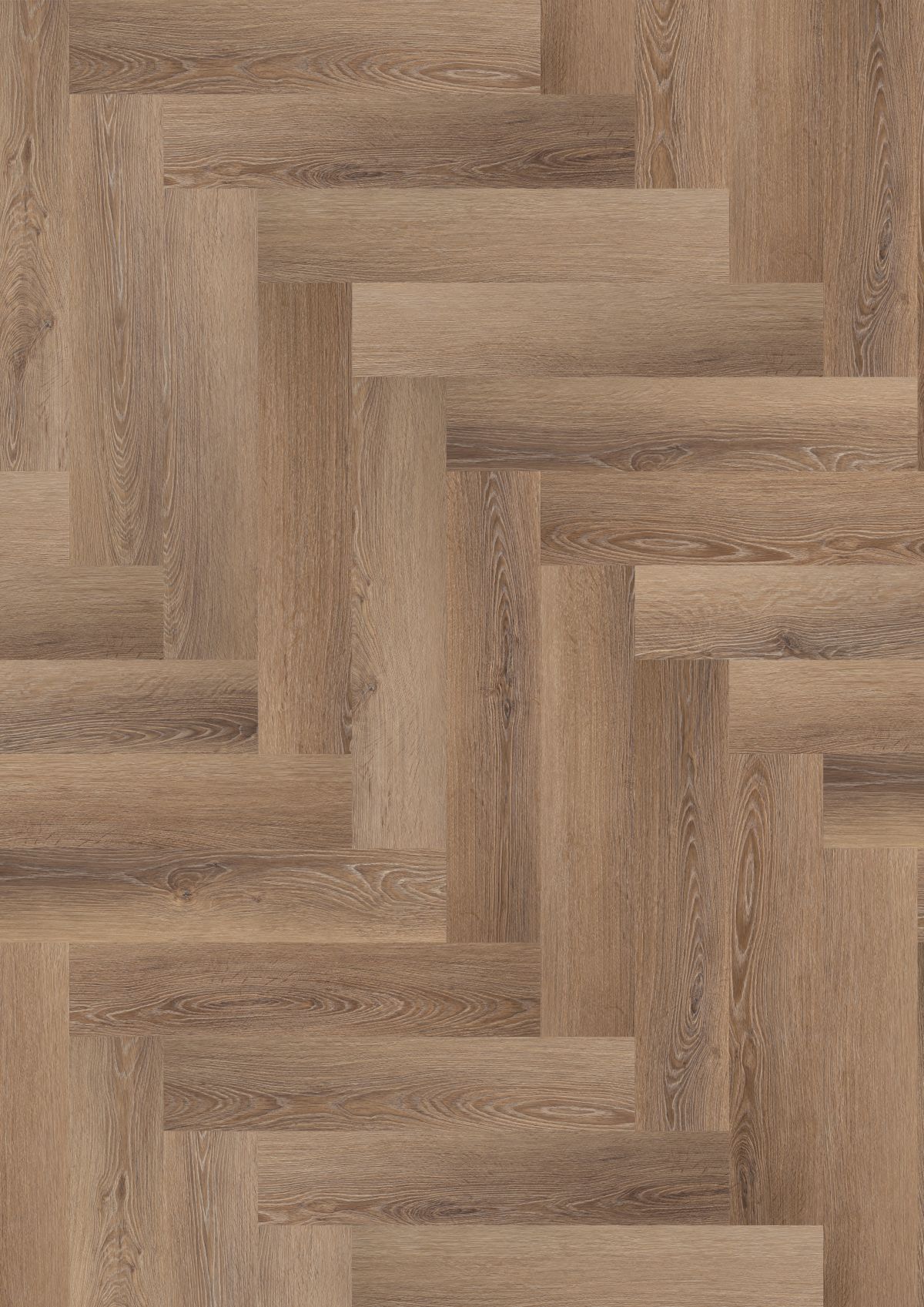 Cotton Wood (BBL-028)