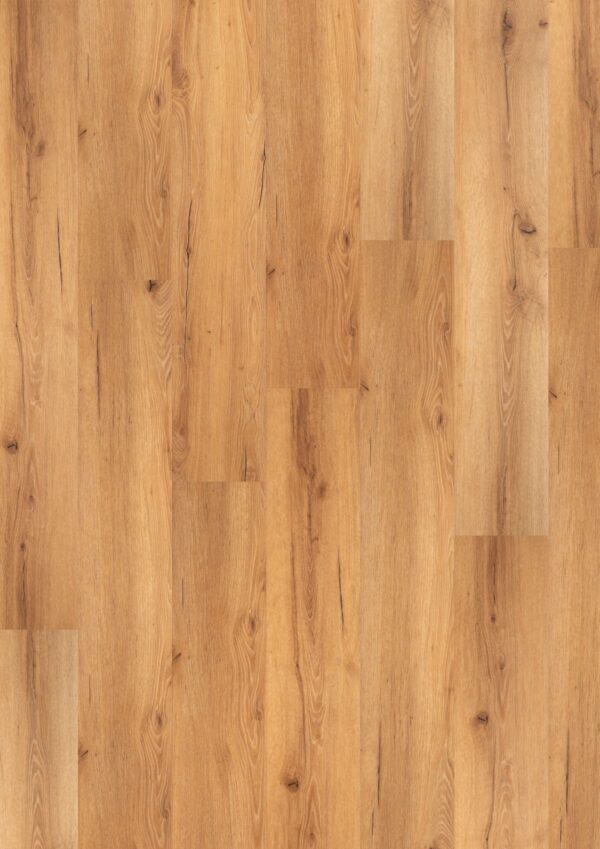 Burl Premium (BBL-009)