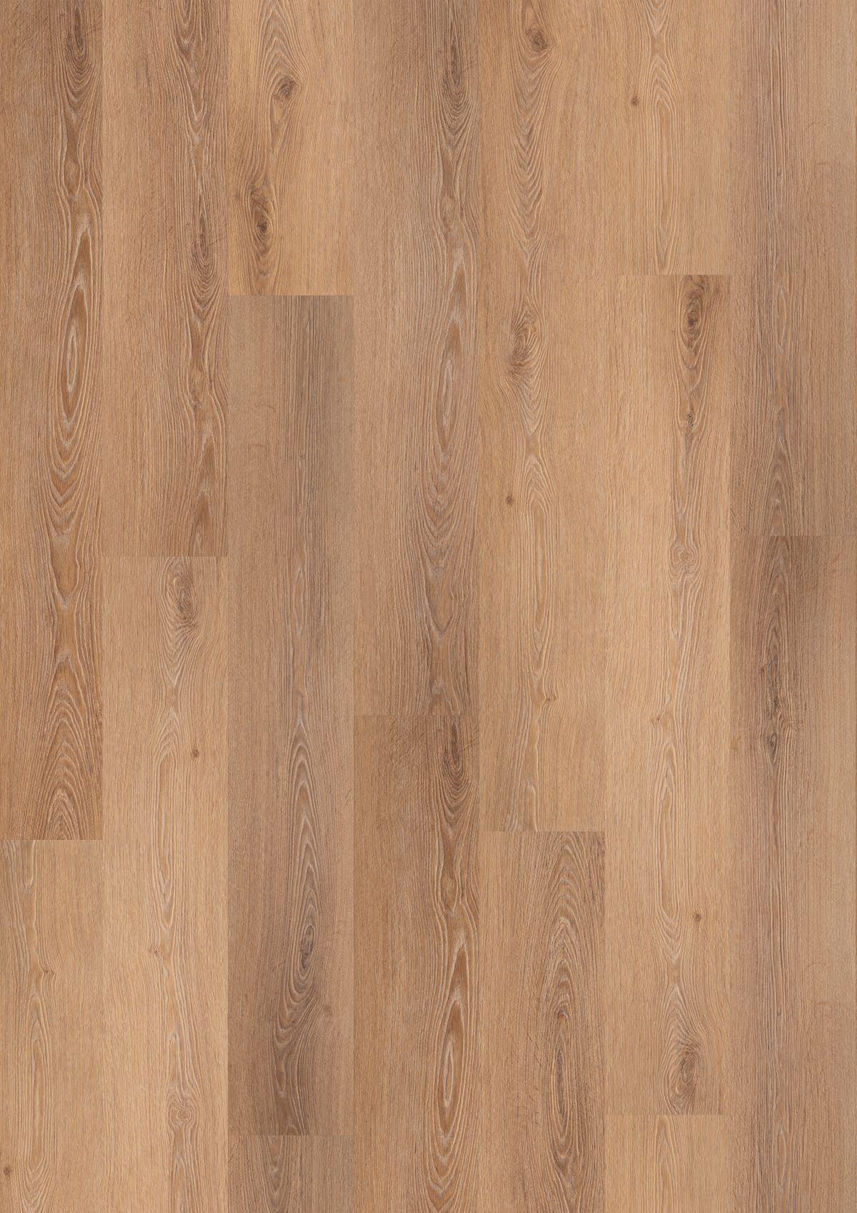 Musgrove Mill (BBL-005)