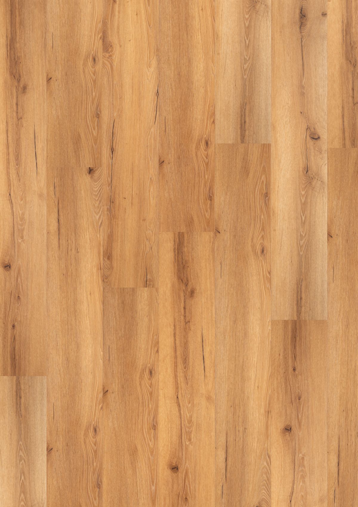 Rustic Luminous (BBL-003)