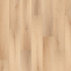 Shimmering Champagne (BBL-002)