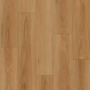 Spotted gum (BBL-017)