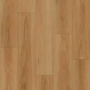 Spotted Gum (BBL17)