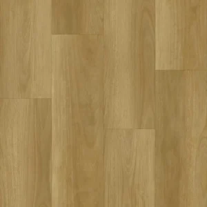 Blackbutt (BBL18)