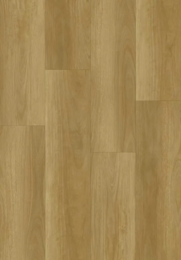 Blackbutt (BBL18)